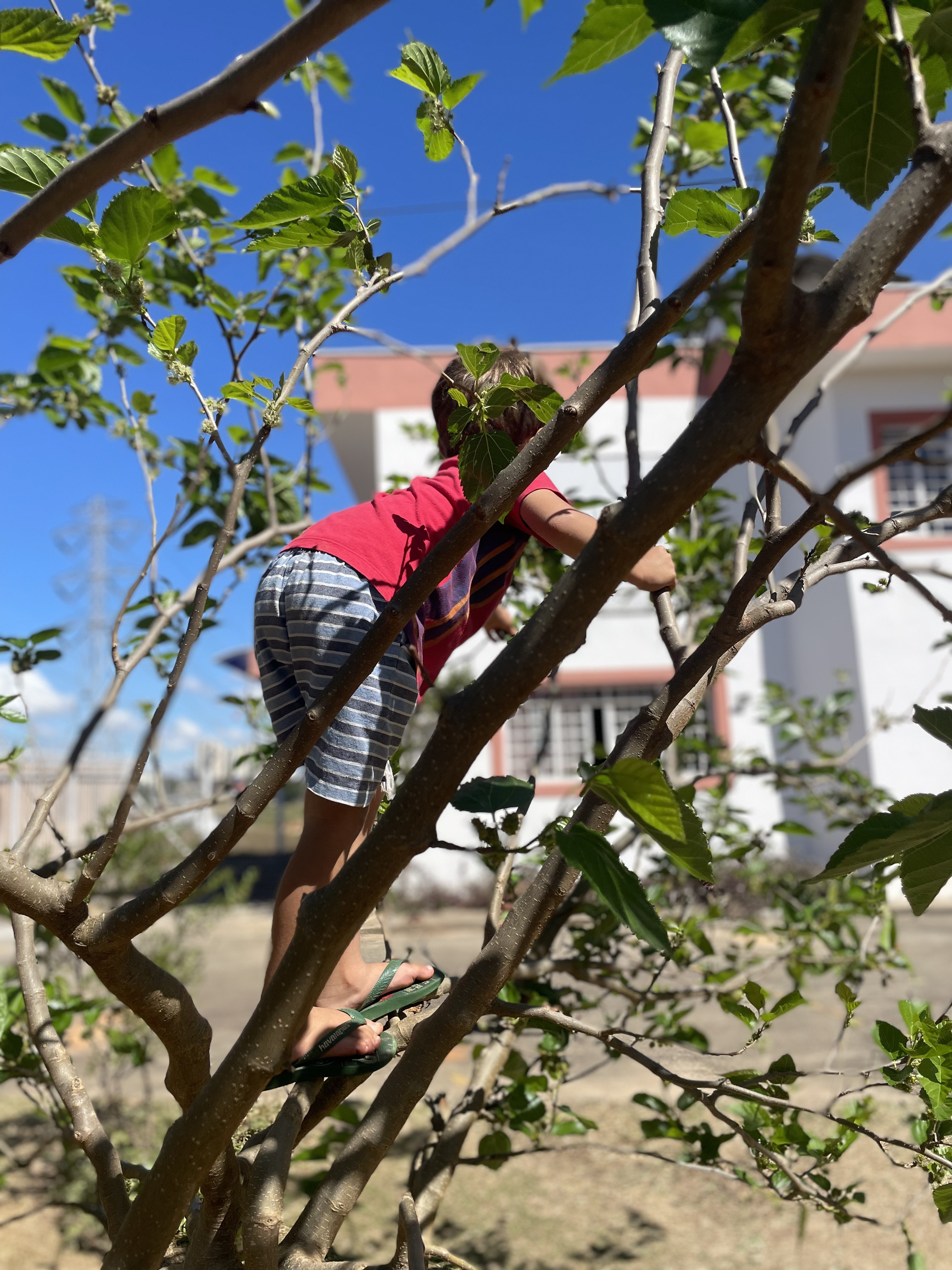 Liberdade e Autonomia